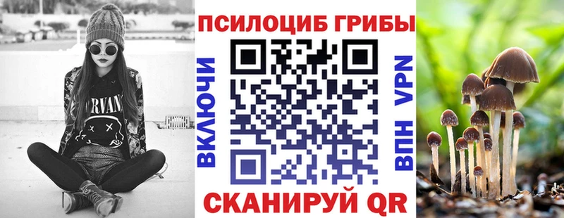 Псилоцибиновые грибы прущие грибы  Верхний Тагил 